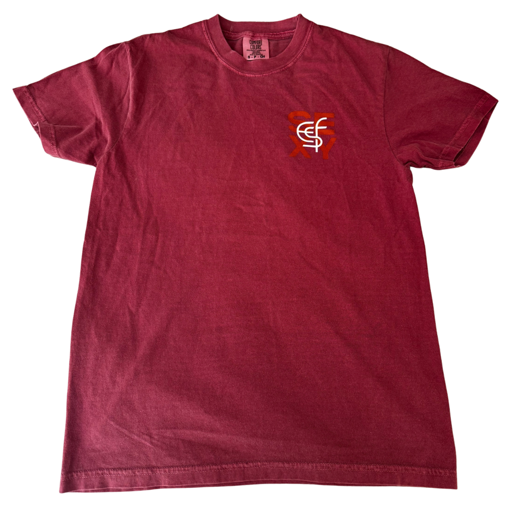 X-LARGE 100% Cotton Unisex T-Shirt